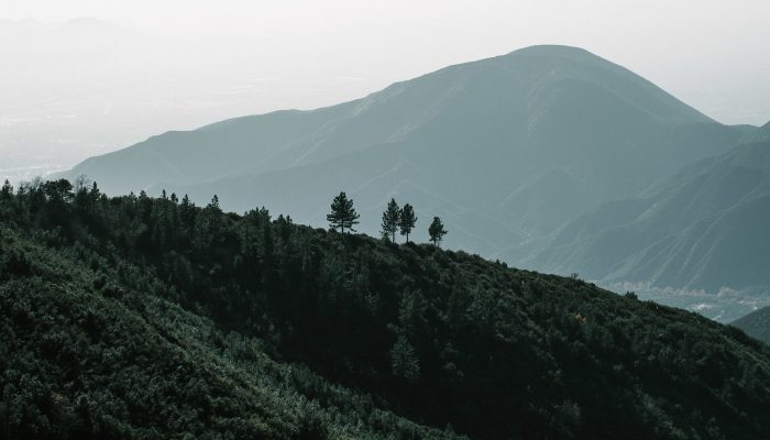 A majestic view of a forest surrounded by mountains in Big Bear, California
